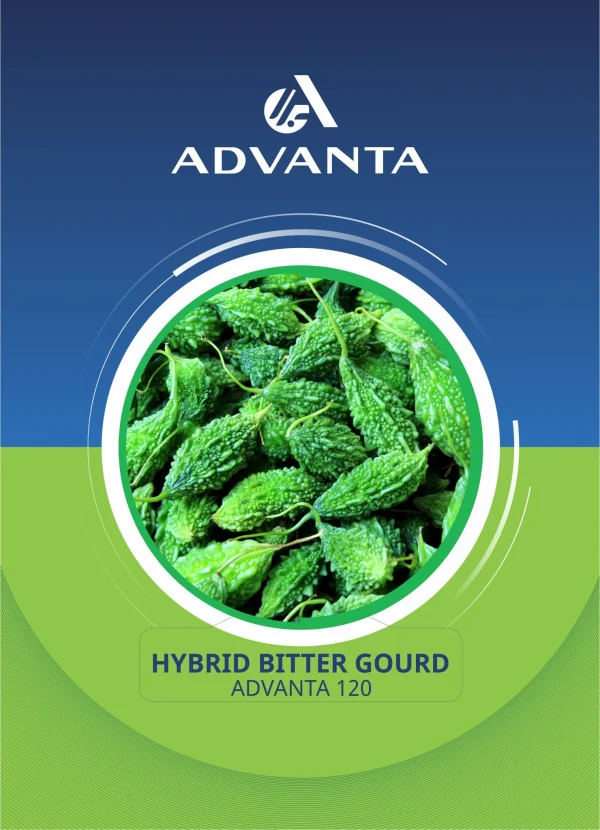 Advanta 120 Hybrid Bitter Gourd Seeds 5g
