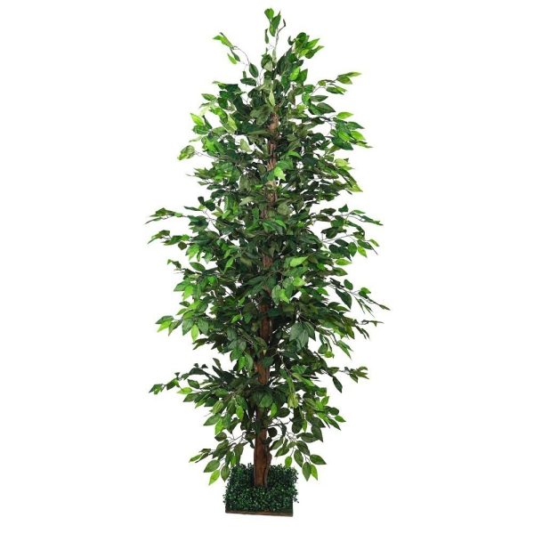 Artificial Ficus Plant 2m High