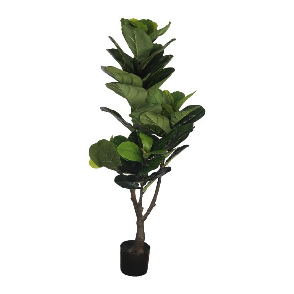 Zamioculcas Plant Artificial YT