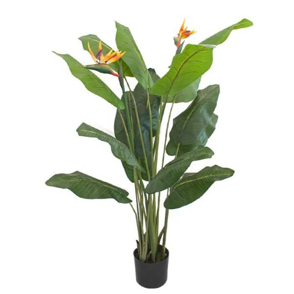 Birds Of Paradise Artificial  SRB