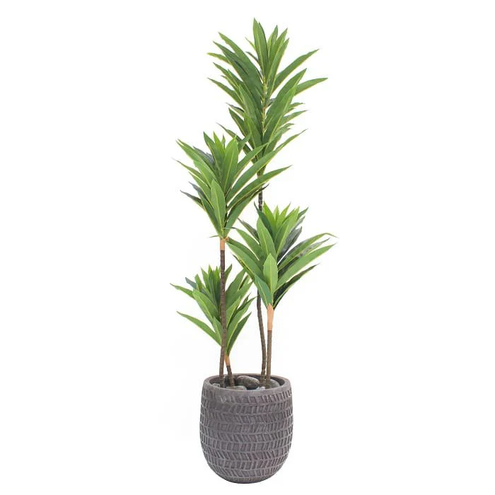 Dracaena Artificial YT