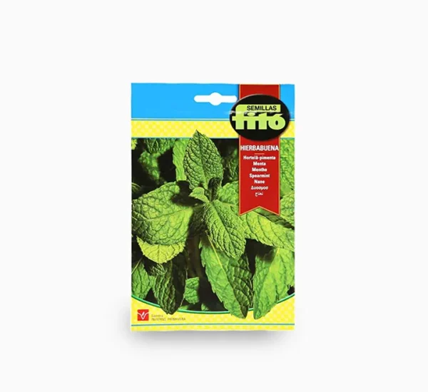 mint plant Seeds
