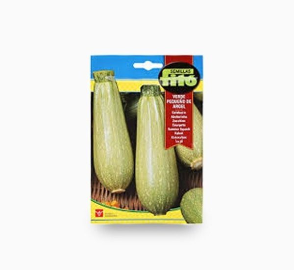 Squash Verde Pequeno De Argel