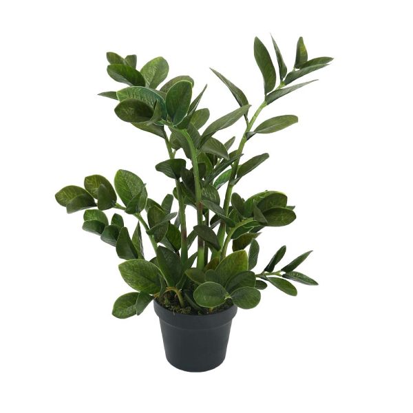 zamioculcas plant Artificial Plant - Image 2
