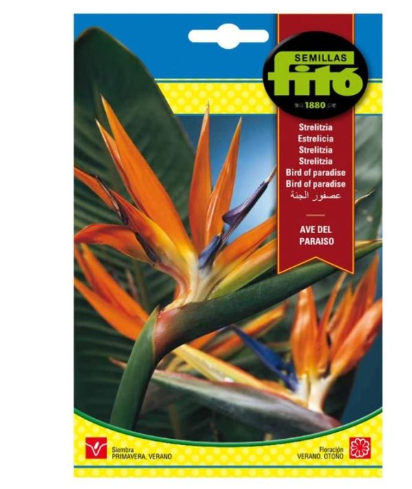 Bird of Paradise Flower Seed