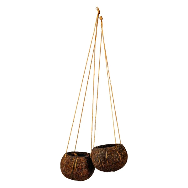 Coconut Hanging Pot