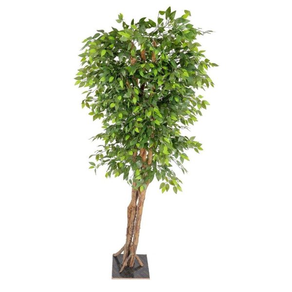 Phyco Plant Artificial