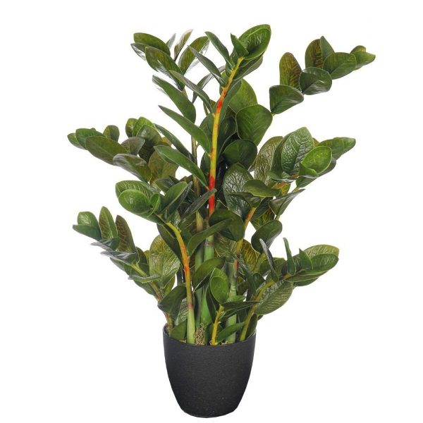 zamioculcas plant Artificial Plant