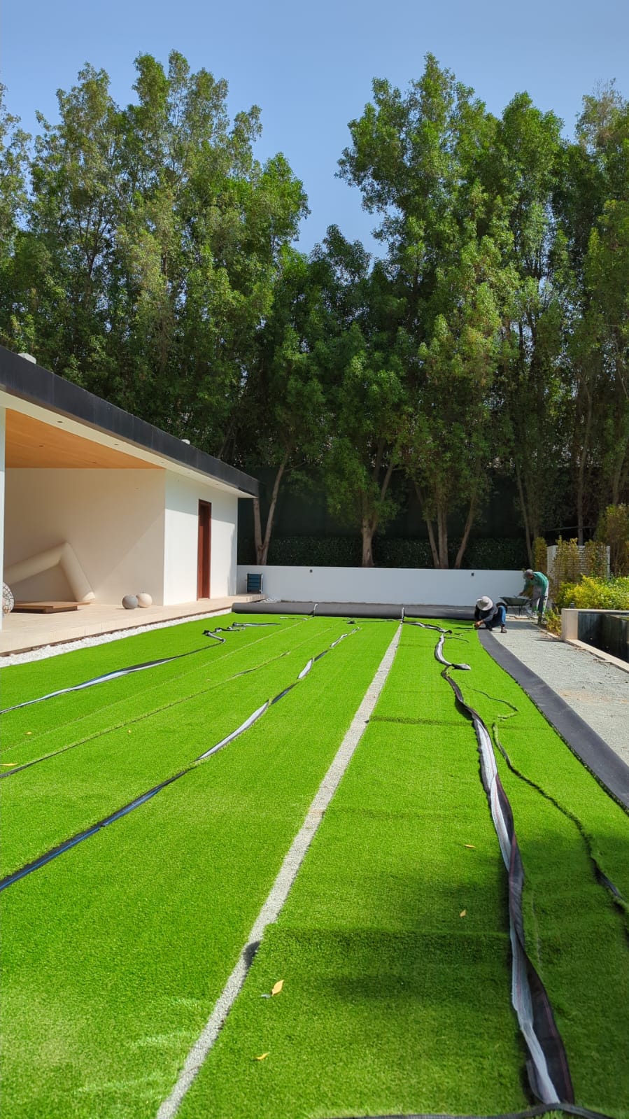 Landscape Grass Project