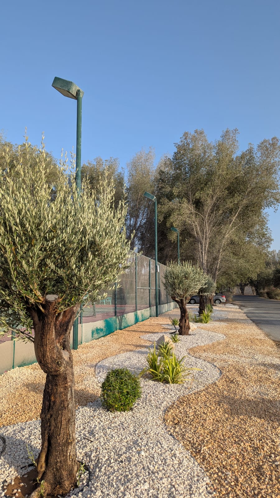 Plantation Project Image 6