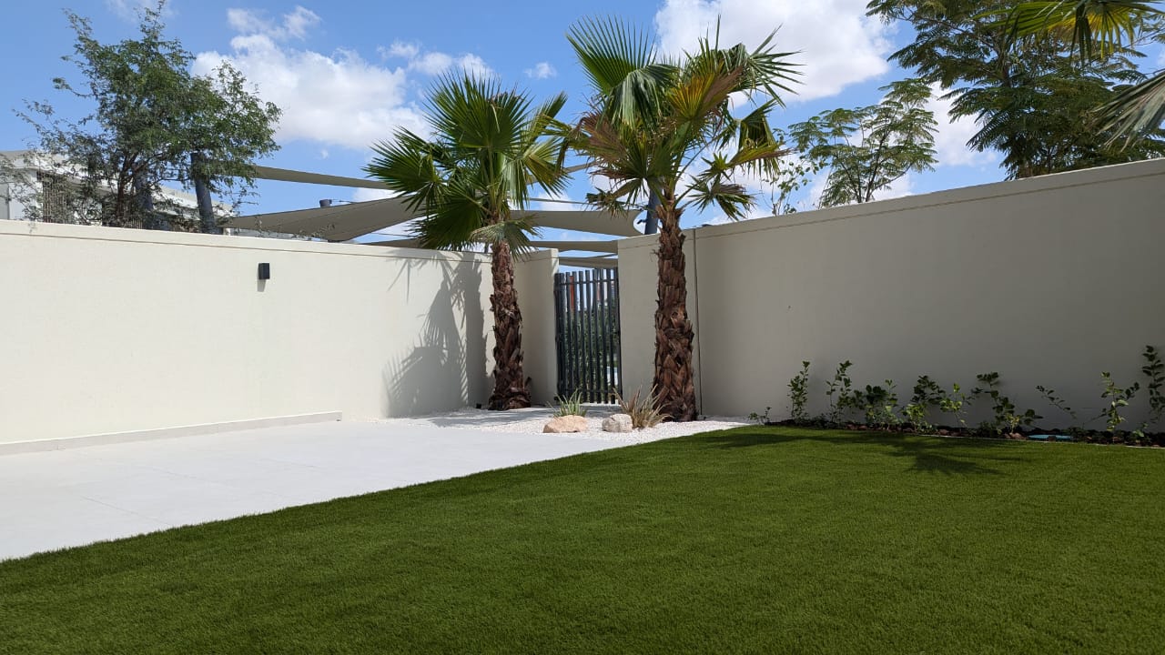 Lawn Installation Project